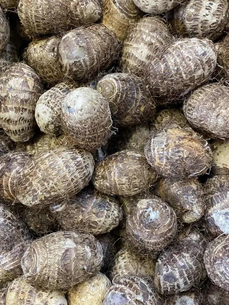 Close-up of a crate of fresh cocoyam roots